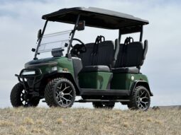 2025 Denago Rover XL Green
