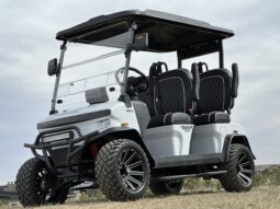 2025 Denago Rover XL Special Edition