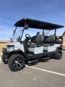 2025 Denago Rover XL 6 Gray