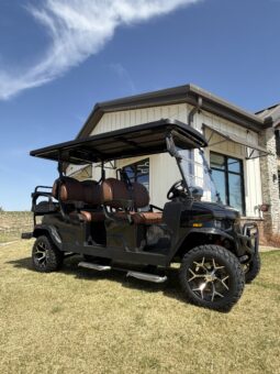 2025 Denago Rover XL6